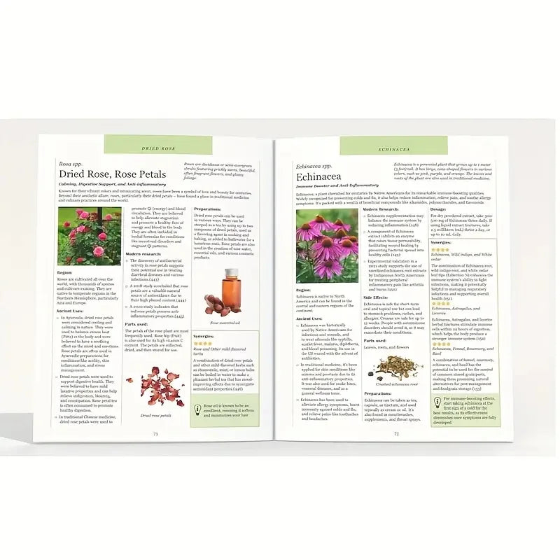 🌿 The Natural Healing Handbook