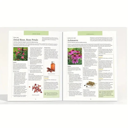 ๐ฟ The Natural Healing Handbook