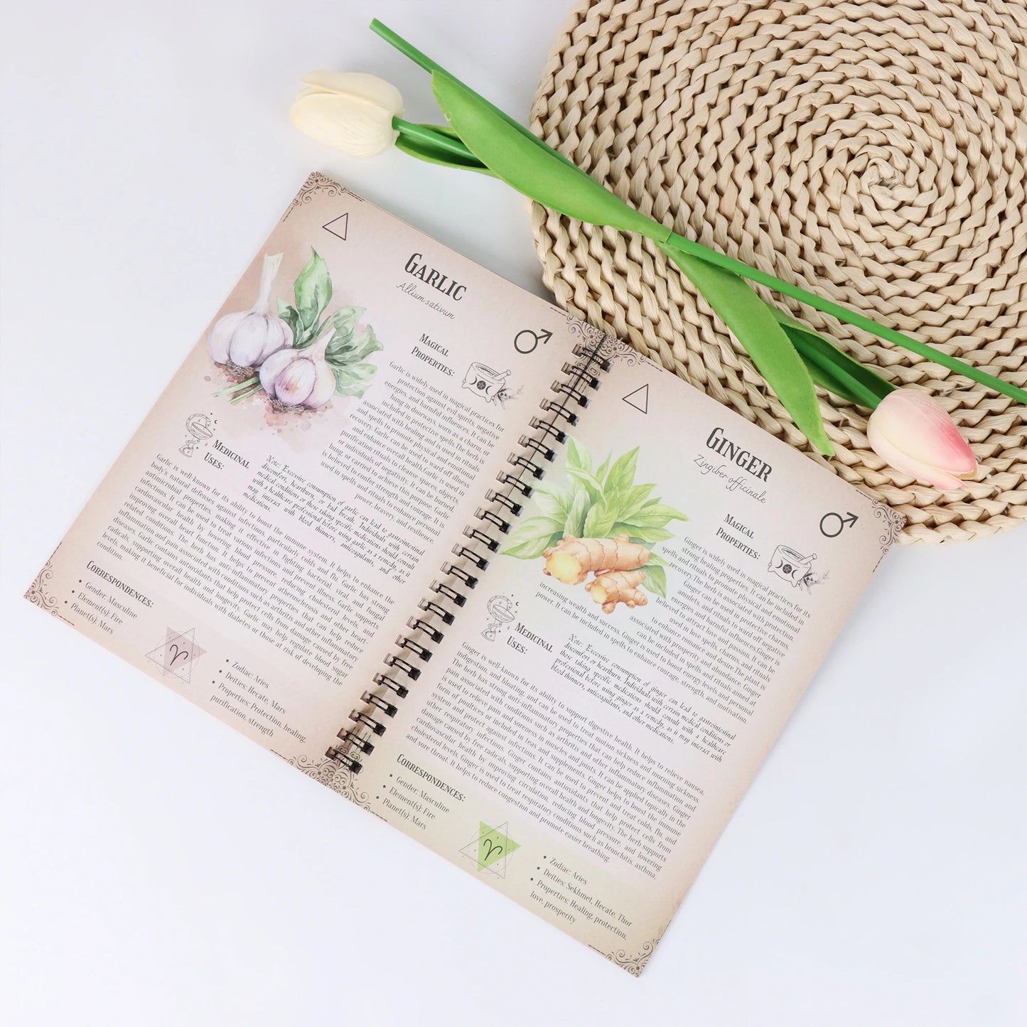 π The Magical Herb Book Guides β Set of 2 Illustrated Hardcovers